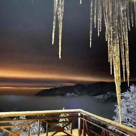 President Kop A515 Appartement *