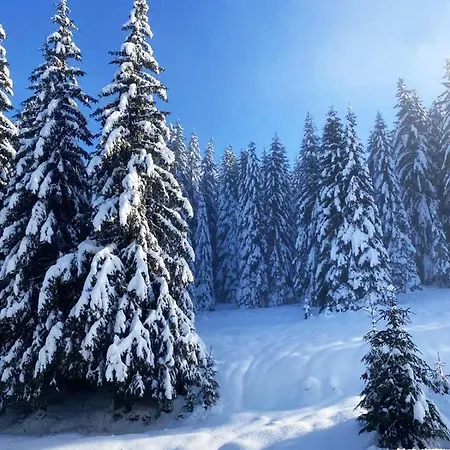 Appartement President Kop A515 *