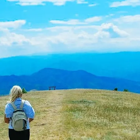 President Kop A515 Appartement *