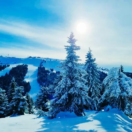 President Kop A515 Appartement