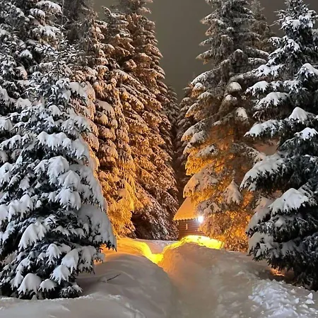 President Kop A515 Kopaonik