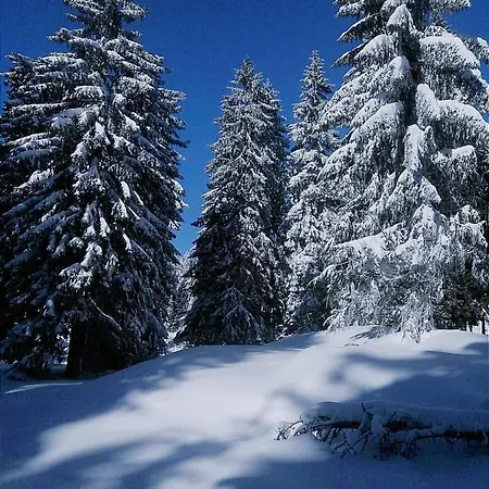 President Kop A515 Appartement