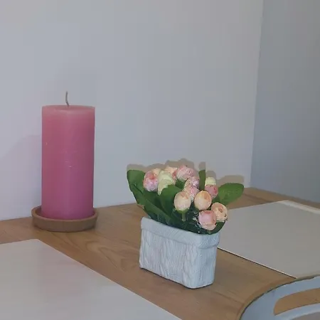 President Kop A515 Appartement *