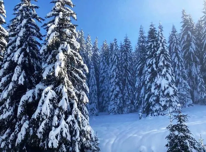 Apartamento President Kop A515 *