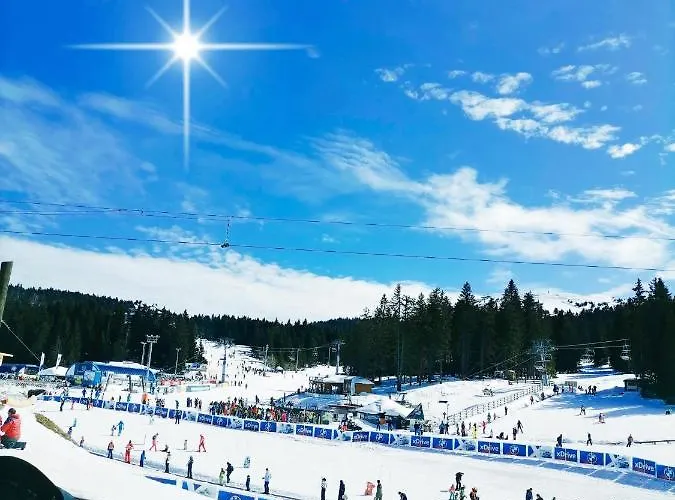 Apartamento President Kop A515 *