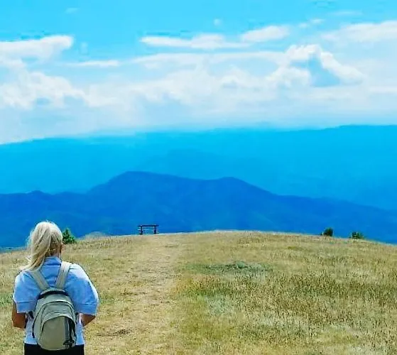 President Kop A515 Apartamento *