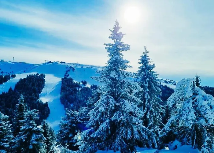 President Kop A515 Apartamento