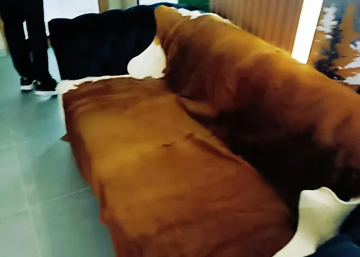 President Kop A515 *