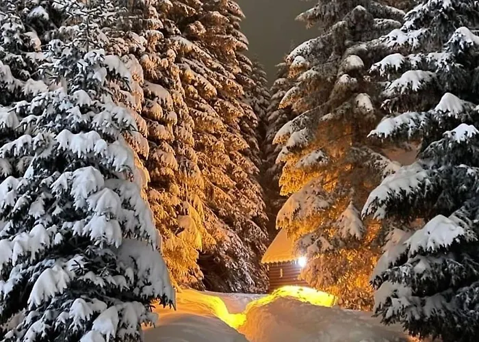 President Kop A515 Kopaonik