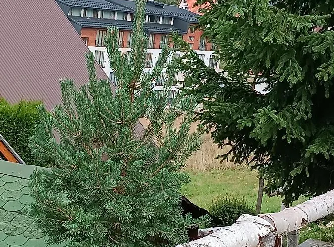 President Kop A515 Apartamento *